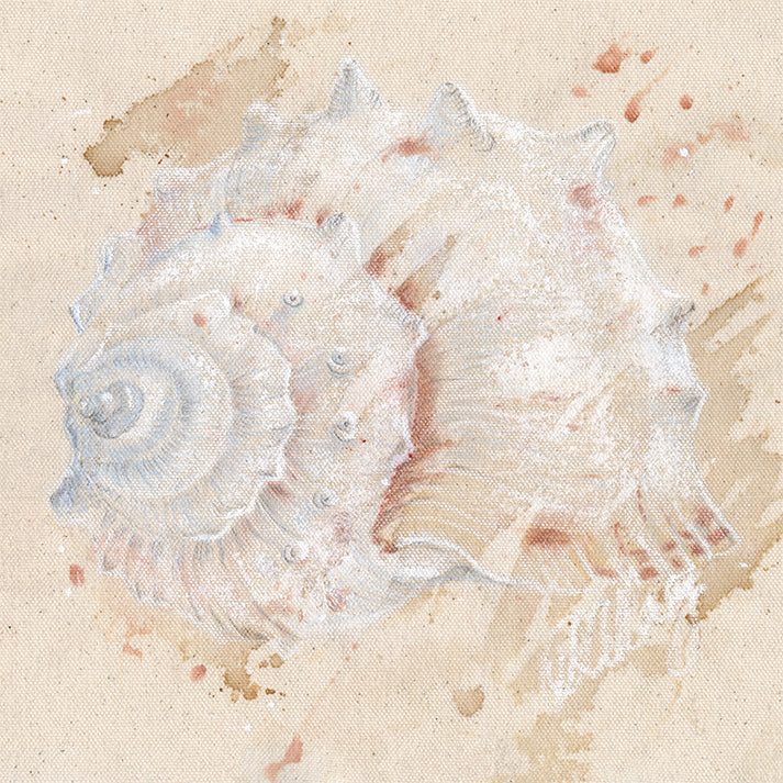 The Taste of Her Collection